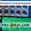 Black Ant Capsules new04